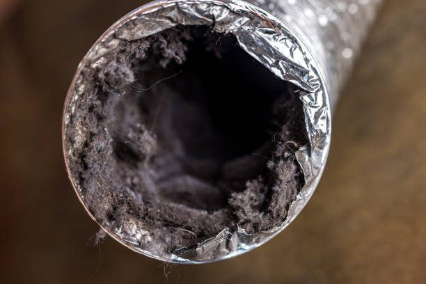 Best Duct Cleaning Specialists  in Sky Valley, CA