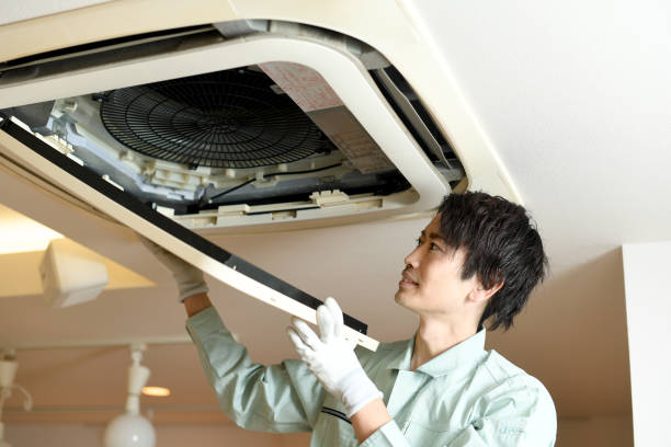 Best Air Duct Sanitizing Services  in Sky Valley, CA