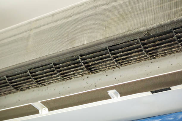 Best Emergency Air Duct Cleaning  in Sky Valley, CA